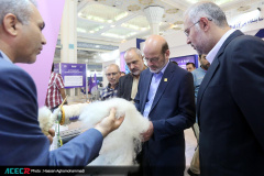 بازدید رییس جهاددانشگاهی و هیات همراه از نخستین نمایشگاه «آبادایران»