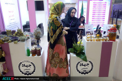 بازدید رییس جهاددانشگاهی و هیات همراه از نخستین نمایشگاه «آبادایران»