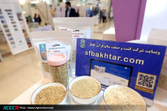 بازدید رییس جهاددانشگاهی و هیات همراه از نخستین نمایشگاه «آبادایران»