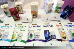 بازدید رییس جهاددانشگاهی و هیات همراه از نخستین نمایشگاه «آبادایران»