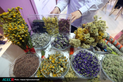 بازدید رییس جهاددانشگاهی و هیات همراه از نخستین نمایشگاه «آبادایران»