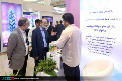 بازدید رییس جهاددانشگاهی و هیات همراه از نخستین نمایشگاه «آبادایران»