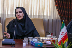 نشست راهکارهای افزایش تاب‌آوری کار و تولید در شرایط جنگ و پساجنگ