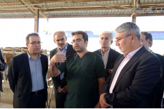 گزارش تصویری 1/  رونمایی از آخرین دستاوردهای پارک علم و فناوری البرز توسط معاون فناوری وزیر علوم