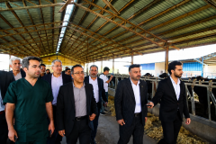 گزارش تصویری  رونمایی از دستاوردهای دانش‌بنیان در پارک علم و فناوری البرز (جهاددانشگاهی)