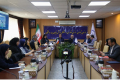 گزارش تصویری/ نشست تخصصی بررسی سیاست‌ها، چالش‌ها و تجارب حوزه مشاغل خرد و خانگی