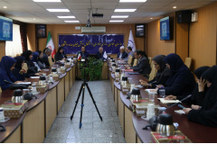 گزارش تصویری/ نشست تخصصی بررسی سیاست‌ها، چالش‌ها و تجارب حوزه مشاغل خرد و خانگی
