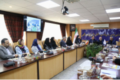 گزارش تصویری/ نشست تخصصی بررسی سیاست‌ها، چالش‌ها و تجارب حوزه مشاغل خرد و خانگی