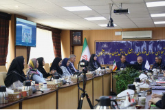 گزارش تصویری/ نشست تخصصی بررسی سیاست‌ها، چالش‌ها و تجارب حوزه مشاغل خرد و خانگی