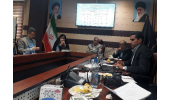 چهل و سه شغل مزیت دار در خراسان جنوبی شناسایی شد