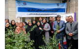 پیشرفت ۵۰ درصدی طرح توان افزایی ۶ هزار زن سرپرست خانوار