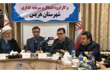 طرح الگوی توسعه مشاغل خانگی در ۱۰ استان اجرا می شود